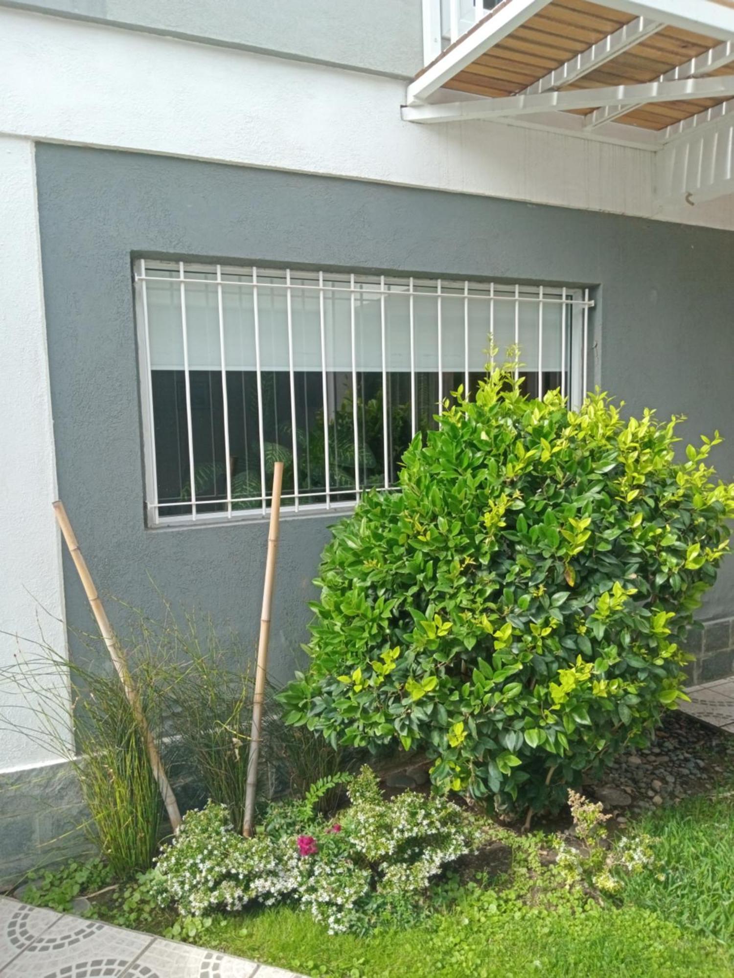 Monoambiente Osvaldo Apartment *